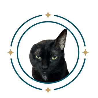 Tiny Rick, a black cat
